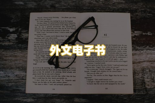 外文电子书